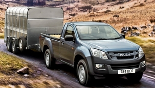 isuzu pickup truck